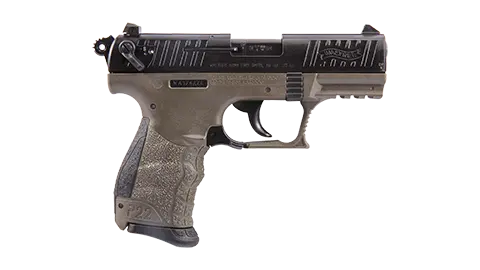 P22 3.42" FDE 10RD 22LR California